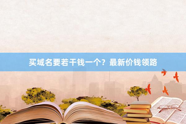 买域名要若干钱一个？最新价钱领路