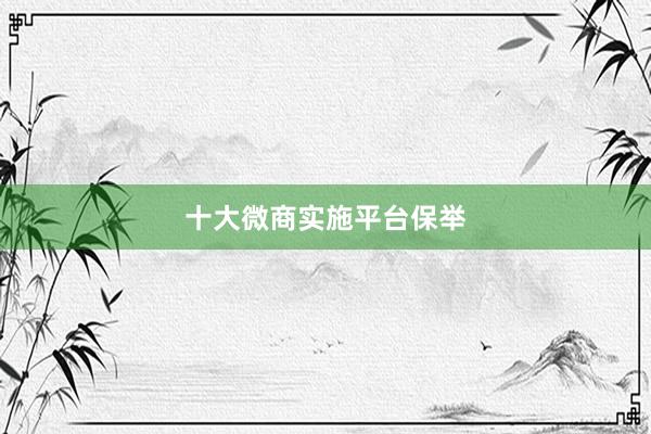十大微商实施平台保举