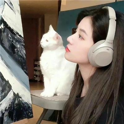 乌代布林王公的古怪私人院